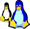 Two Penguins Clip Art